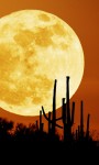 Spiritual Forecast 12/12-12/18