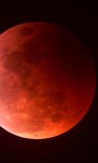 December 10 – Lunar Eclipse in Taurus
